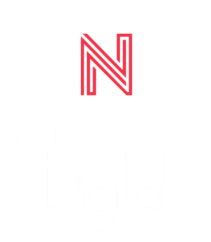 Nihal Hussain Digital – Digital Marketing Services & Consulting